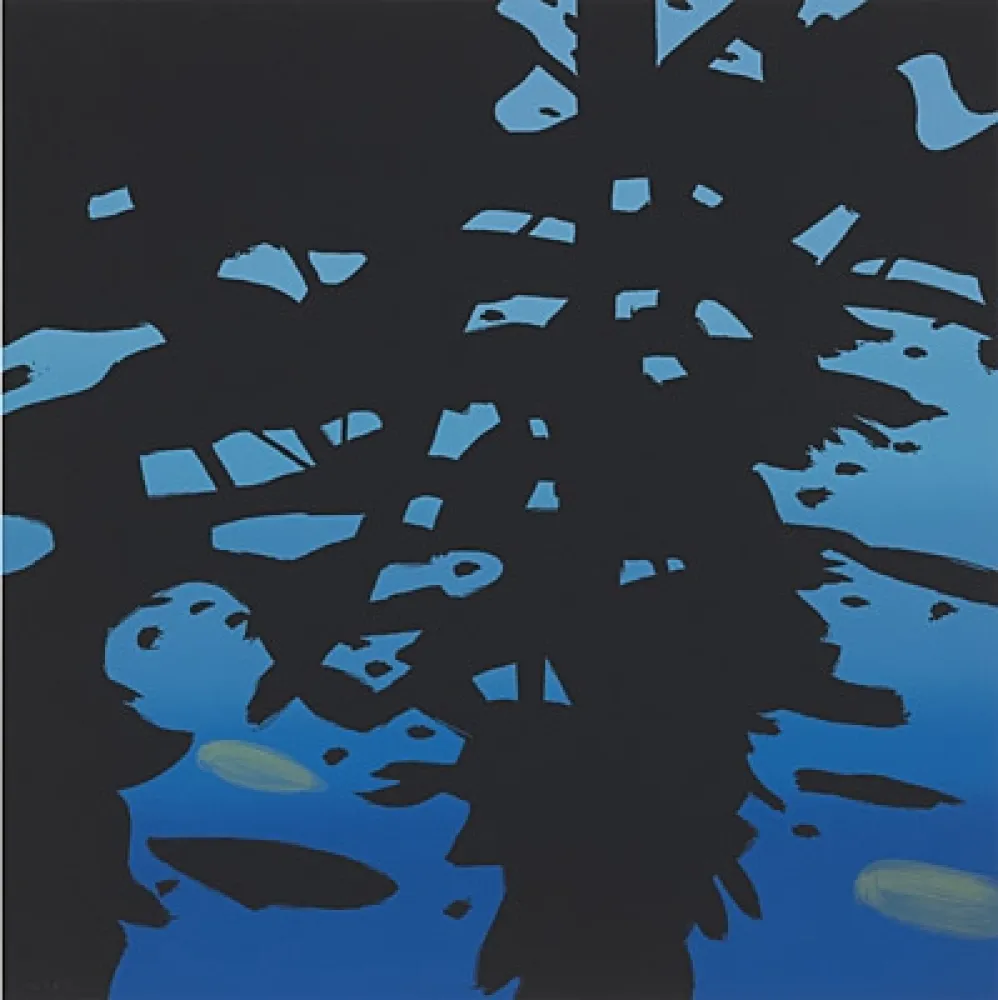 丝网印刷 Katz - Reflection