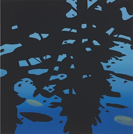 丝网印刷 Katz - Reflection