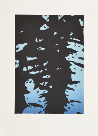 蚀刻版画 Katz - Reflection I