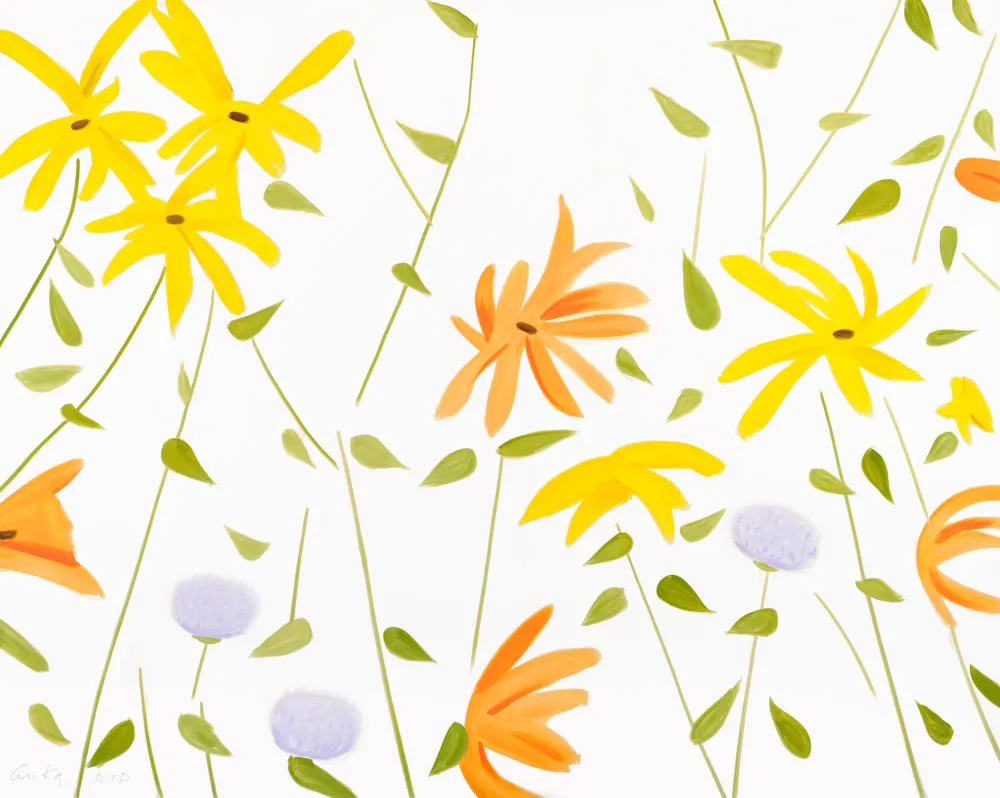 无技术 Katz - Summer Flowers 2