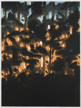 复数作品 Katz - Sunrise