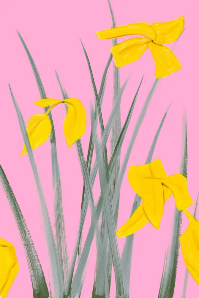 无技术 Katz - Yellow Flags 3