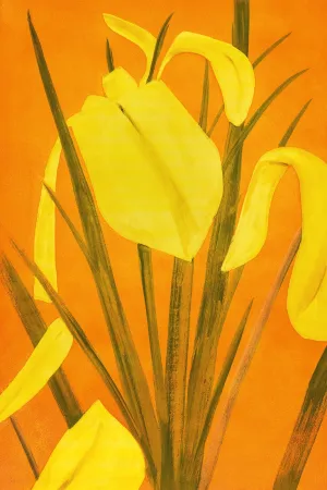 蚀刻飞尘法 Katz - 