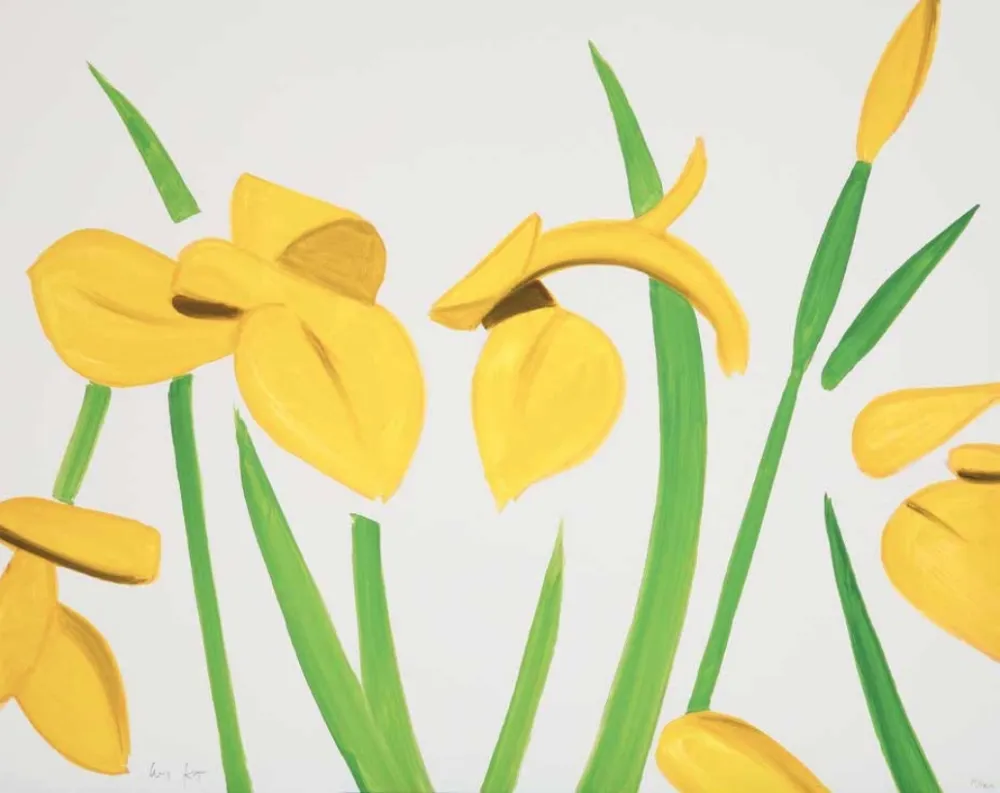 无技术 Katz - Yellow Flags on White