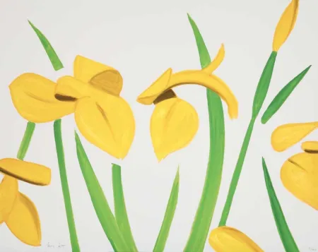 无技术 Katz - Yellow Flags on White