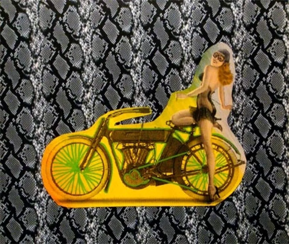 丝网印刷 Kaufman - Motorbike on Snakeskin