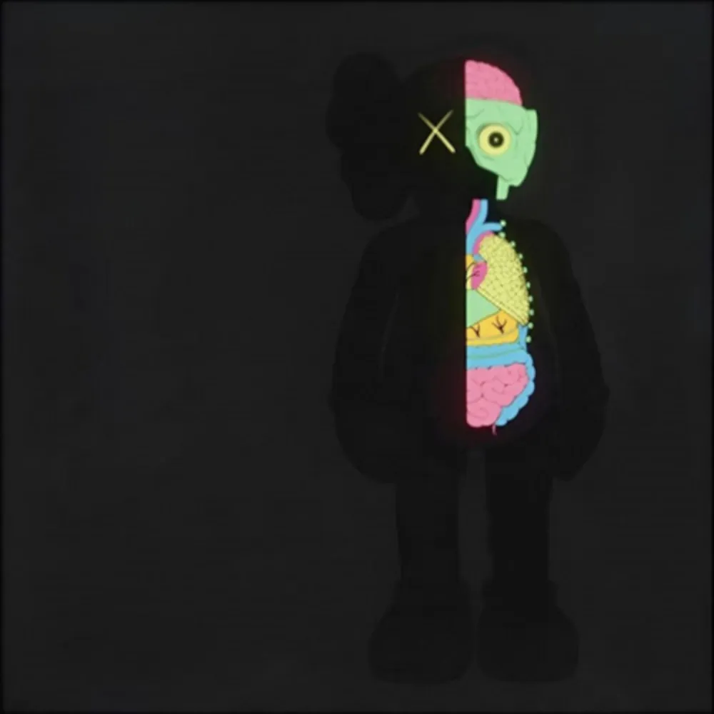 复数作品 Kaws - Dissected Companion (Black)