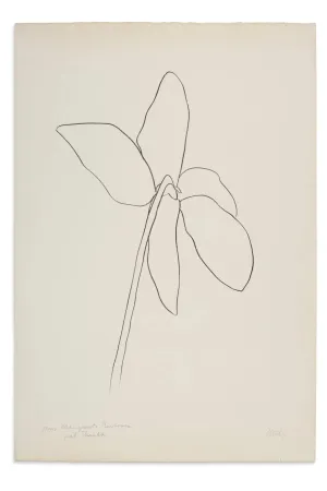 石版画 Kelly - Cyclamen IV, 1964-1965