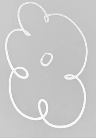 复数作品 Koons - Untitled (flower)