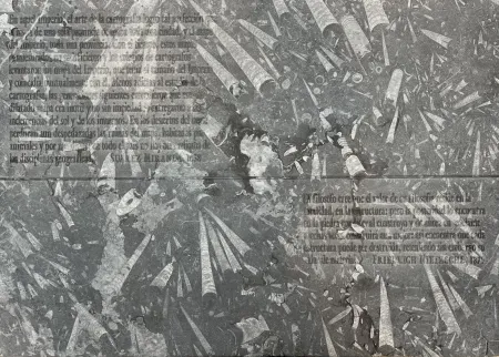 蚀刻版画 Kosuth - El mapa de Miranda y la disciplina de Nietzsche