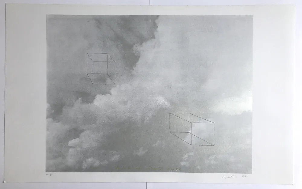 丝网印刷 Kowalski - Avec un léger dépassement de la tête