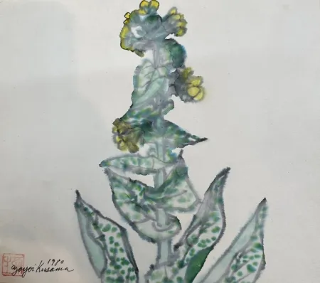 无技术 Kusama - Rape blossoms