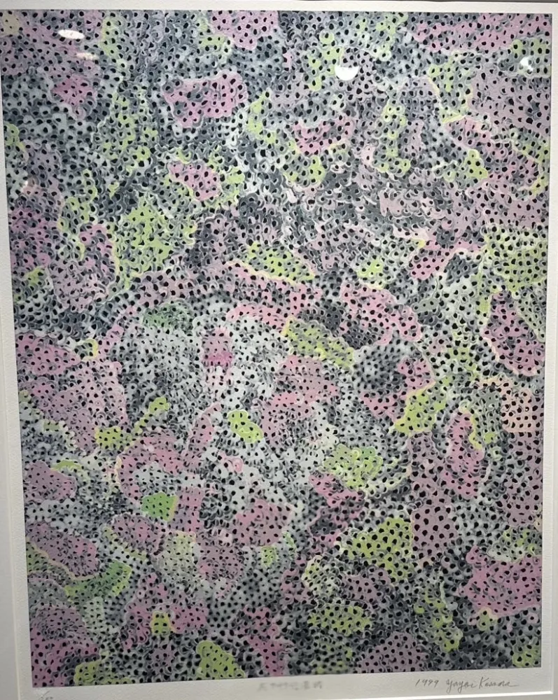 丝网印刷 Kusama - The flowringsilk road