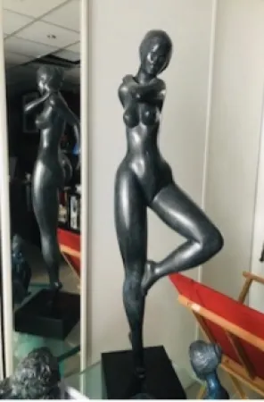 无技术 Laniau - Hirondelle