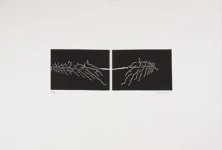 油毡版画 Larregui - TIR A LA CORDE