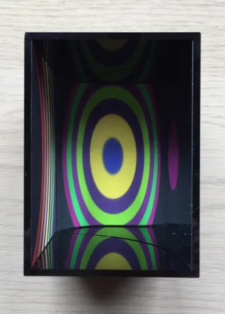 复数作品 Le Parc - Cercles par déplacement