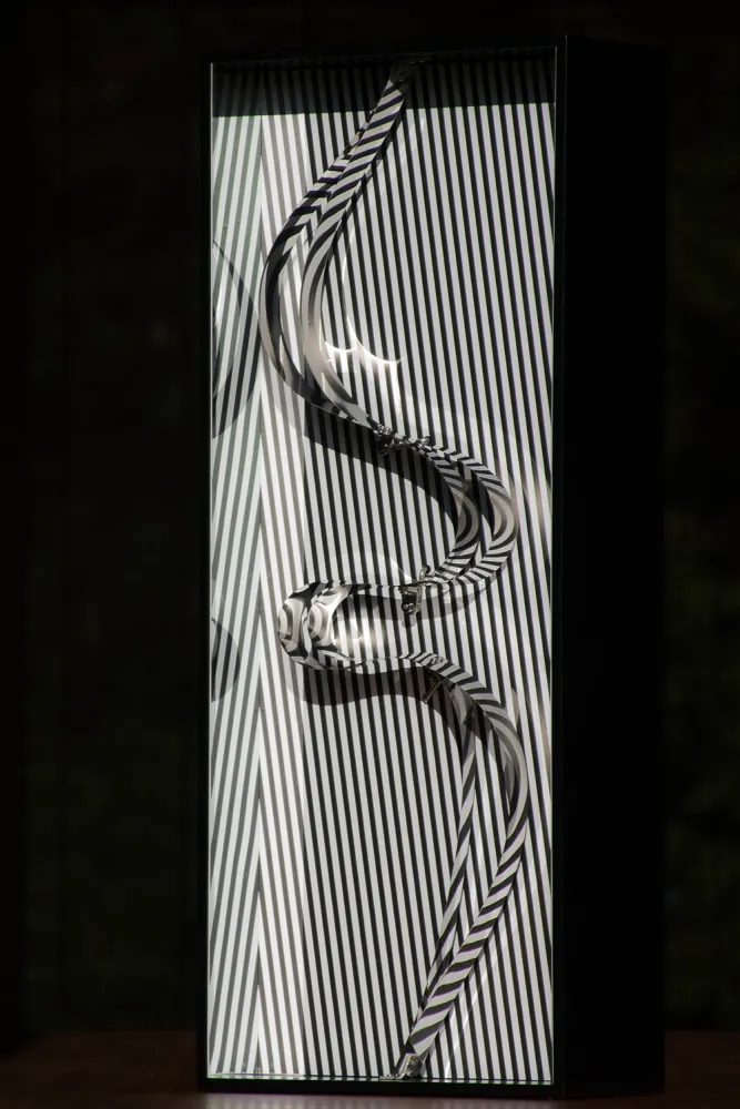 复数作品 Le Parc - Formes en Contorsions