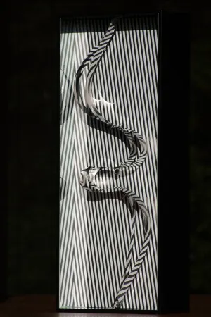 复数作品 Le Parc - Formes en Contorsions