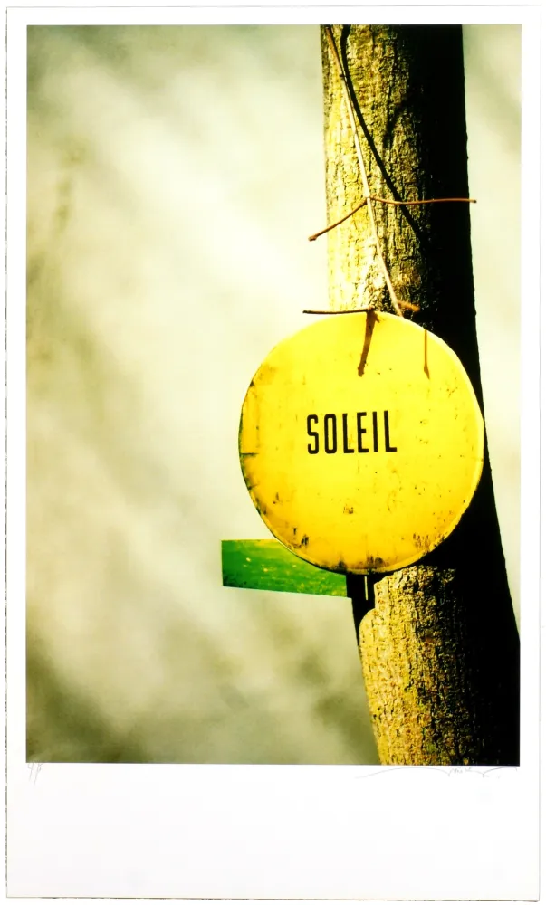 数码版画 Leick - Greffes et greffons, II