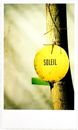 数码版画 Leick - Greffes et greffons, II