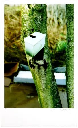 数码版画 Leick - Greffes et greffons III