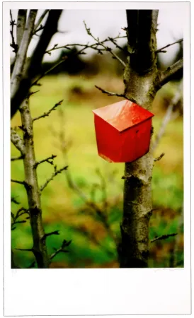 数码版画 Leick - Greffes et greffons IV