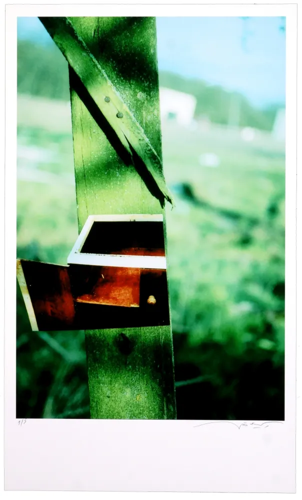 数码版画 Leick - Greffes et greffons VI