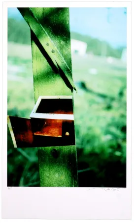 数码版画 Leick - Greffes et greffons VI