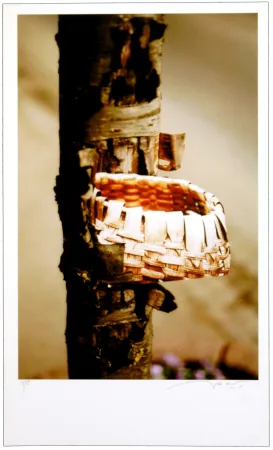 数码版画 Leick - Greffes et greffons VIII