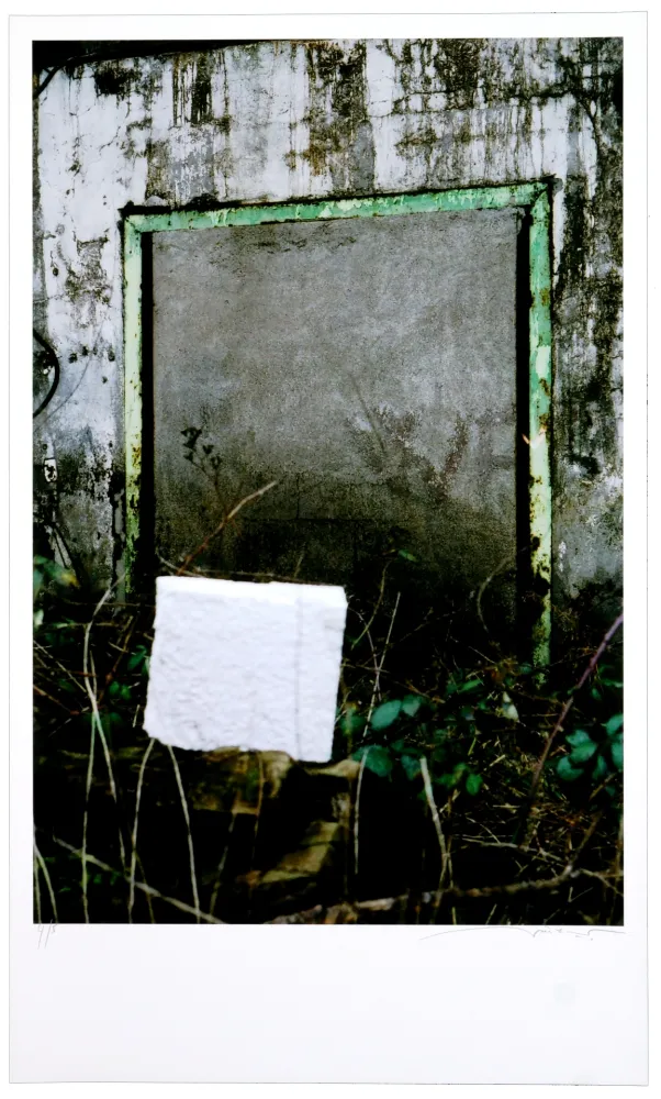 数码版画 Leick - Greffes et greffons VIII