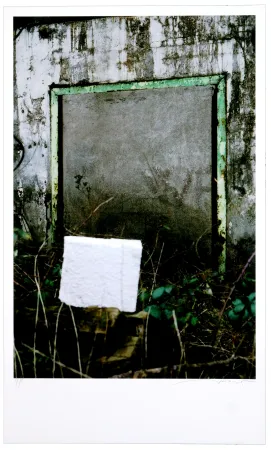 数码版画 Leick - Greffes et greffons VIII