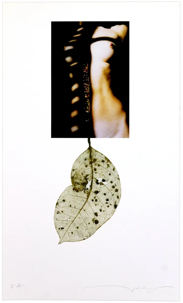 数码版画 Leick - Sans titre I