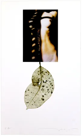 数码版画 Leick - Sans titre I