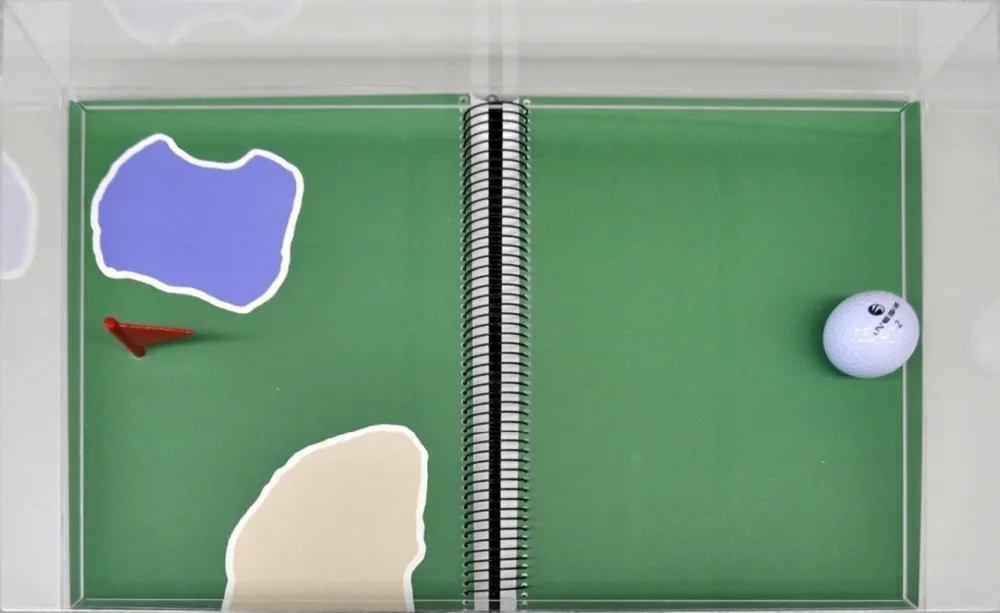 复数作品 Leirner - Rio 2016 - Golf