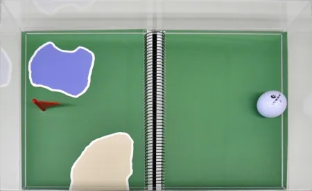 复数作品 Leirner - Rio 2016 - Golf