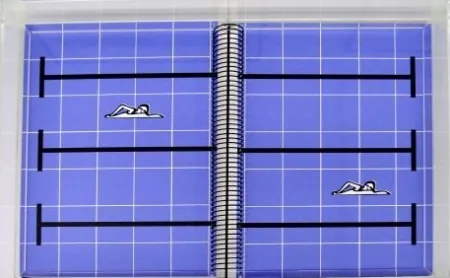 复数作品 Leirner - Rio 2016 - Natación