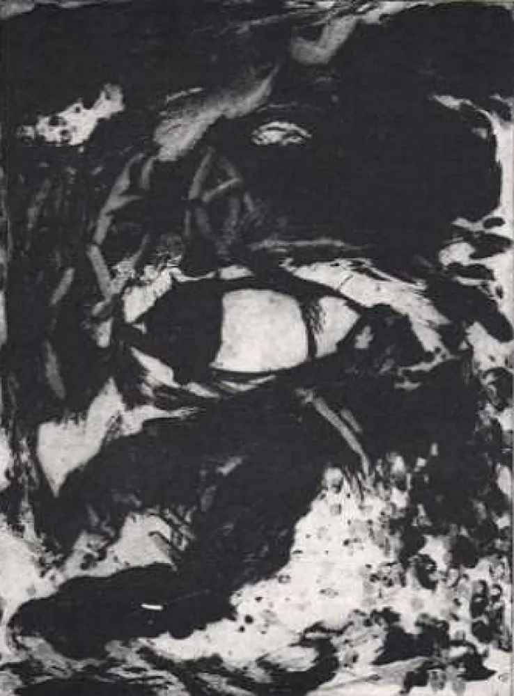 版画 León - Luz de luna III