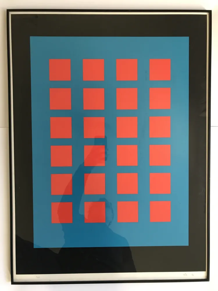 丝网印刷 Leviant - Magic Chips