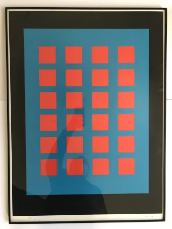 丝网印刷 Leviant - Magic Chips