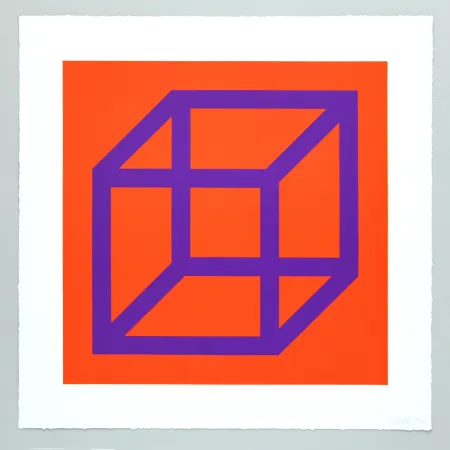无技术 Lewitt - Open Cube in Color on Color Plate 29
