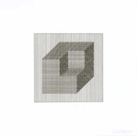 丝网印刷 Lewitt - Twelve Forms Derived From a Cube 16