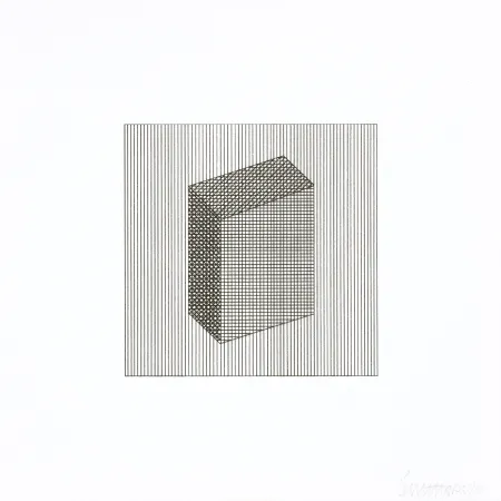 丝网印刷 Lewitt - Twelve Forms Derived From a Cube 18