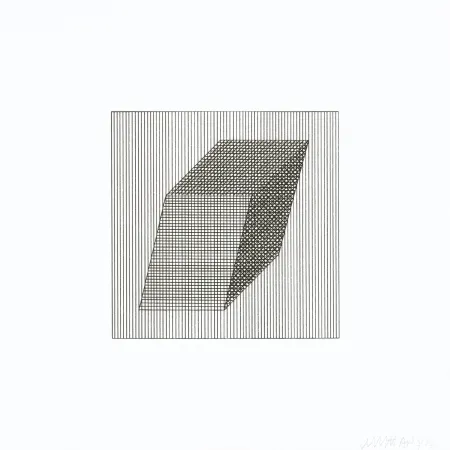 丝网印刷 Lewitt - Twelve Forms Derived From a Cube 20