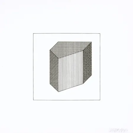 丝网印刷 Lewitt - Twelve Forms Derived From a Cube 32
