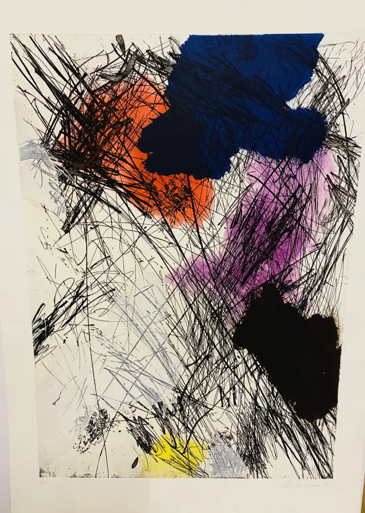 飞尘腐蚀法 Liberman - Ohne Titel