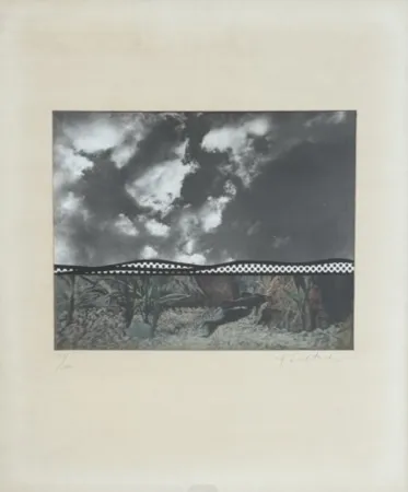 复数作品 Lichtenstein - Fish and Sky