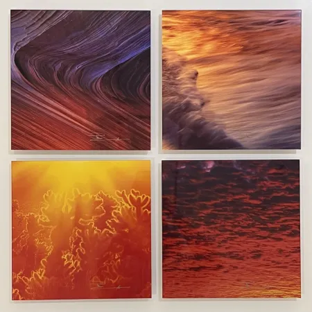 摄影 Lik - The Sound & Fury