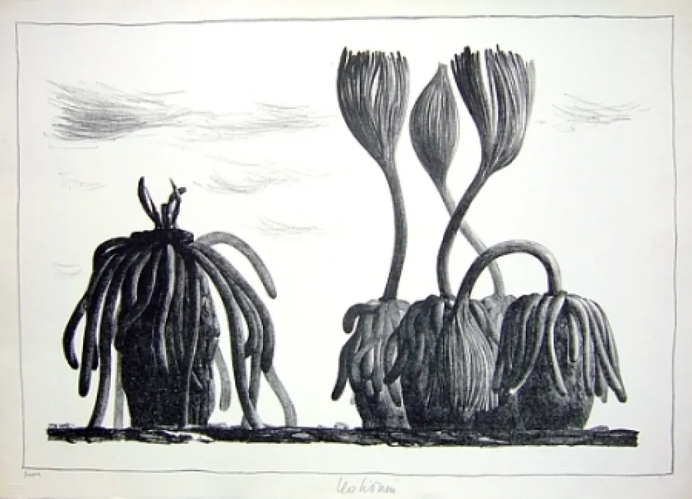 石版画 Lionni - Betula tormens