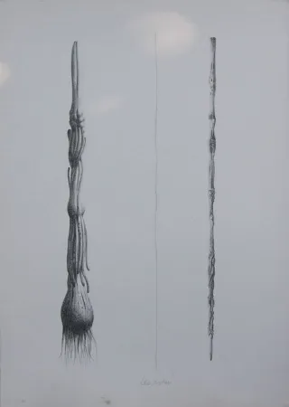 石版画 Lionni - Due Solee