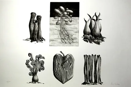 石版画 Lionni - Senza titolo